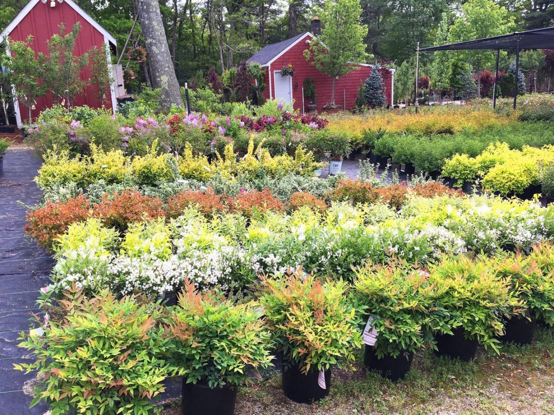 Visit K. Wilcox Landscaping's Nursery in West Greenwich, RI